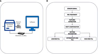 Prostate cancer risk stratification via eNose urine odor analysis: a preliminary report